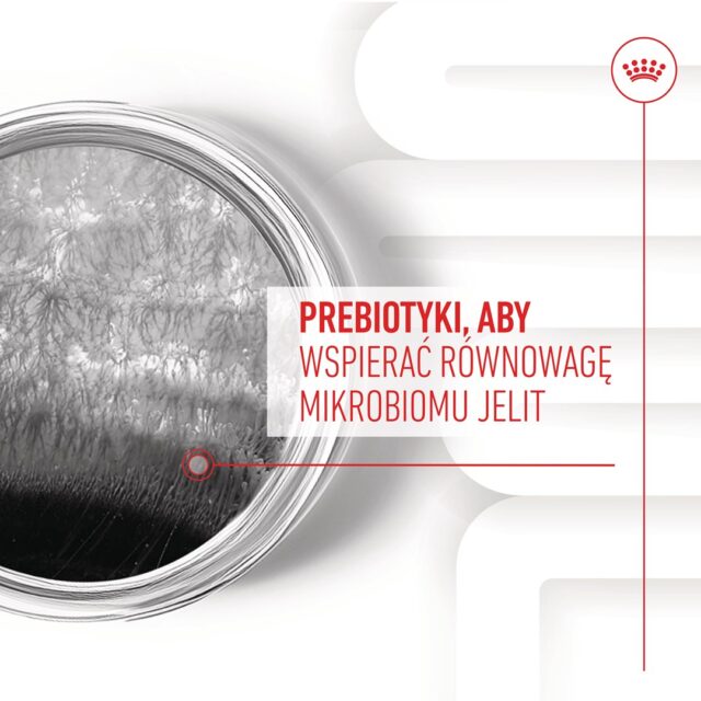 ROYAL CANIN Supplements Dog Digestion Adult - dog vitamins - 160g - imagine 9