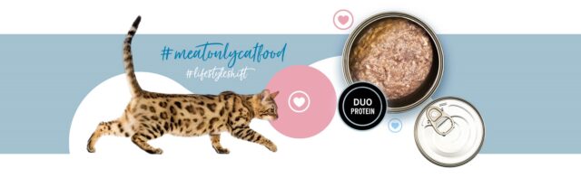 3COTY 21. Turkey and chicken - wet cat food - 180g - imagine 3