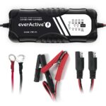 Charger  charger everActive CBC10 12V/24V - imagine 3