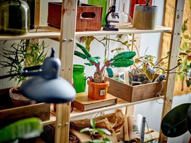 LEGO HARRY POTTER 76433 Mandrake - imagine 10