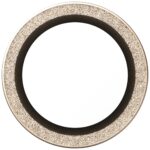 Tempered glass lens protector PanzerGlass  Hoops Glitter do iPhone Air złoty - imagine 3