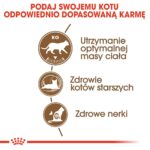 Royal Canin Senior Ageing Sterilised 12+ dry cat food Corn Poultry Vegetable 2 kg - imagine 7