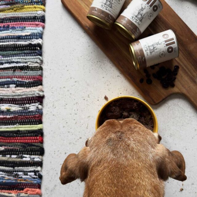 OLLO Pure Deer – wet dog food – 850 g - imagine 8