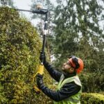 18V XR Pole Shears 55  Boom up to 3.35m  Cardboard - imagine 9