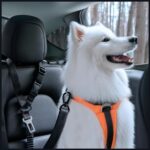 Universal leash Spigen PS100 belt for dog for car black - imagine 8