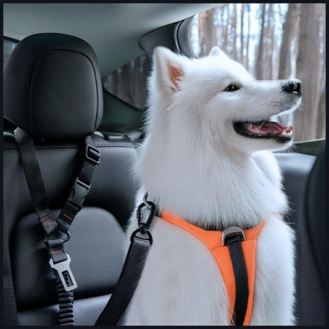 Universal leash Spigen PS100 belt for dog for car black - imagine 8