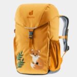 Deuter Waldfuchs backpack Casual backpack Orange