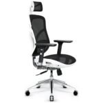Ergonomic chair Diablo Chairs V-Basic white-black
