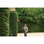 Black & Decker PH5551-QS power hedge trimmer Double blade 550 W 4.1 kg - imagine 4