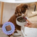 ADDVENA BOOSTED BY SUPERFOODS dla szczeniąt średnich i dużych ras 2 5kg - imagine 4