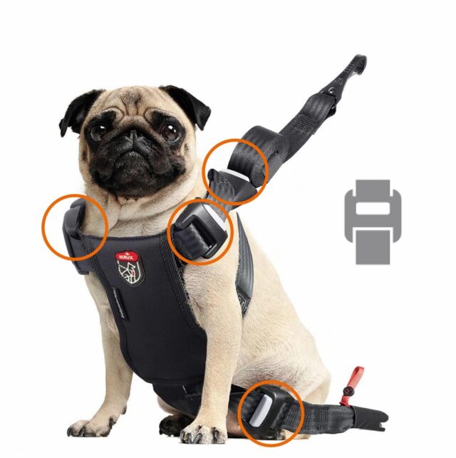 ZOLUX Szelki dla psa TRAVEL SAFE S czarne - imagine 7