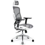 Ergonomic chair Diablo Chairs V-Basic white-gray