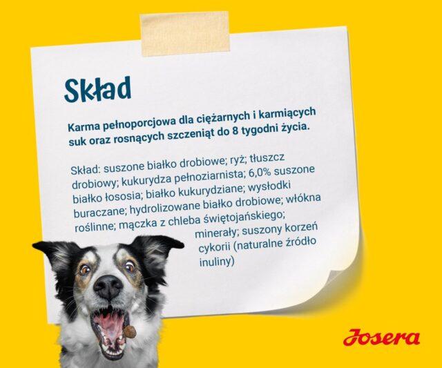 JOSERA Family Plus Puppy - dry dog food - 12 5kg - imagine 5