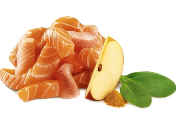 SHELMA Salmon and white fish pate - wet cat food - 100g - imagine 3