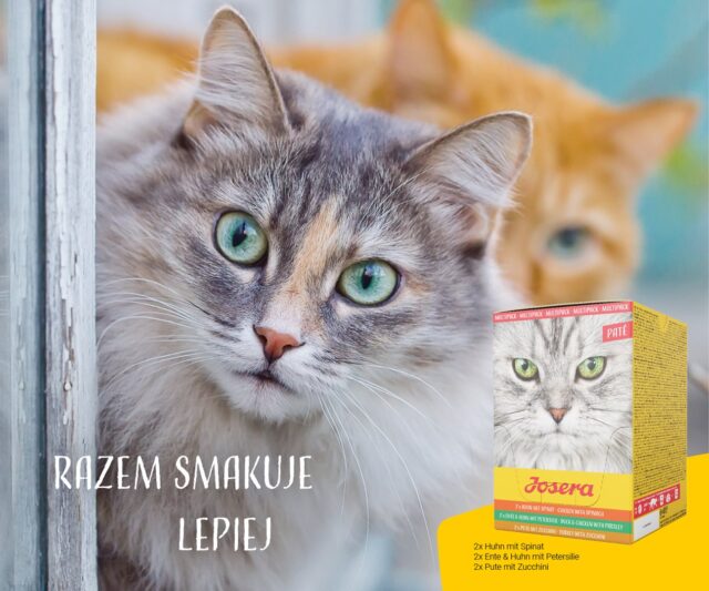 Josera Multipack -filet chicken  duck  turkey-6x85 g - imagine 7