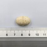 GAME DOG AniFlexi Marine V2 - supplements for dogs - 80 tablets - imagine 2