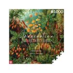 Imagination Puzzle: Ernst Haeckel Muscinae 1000 elements