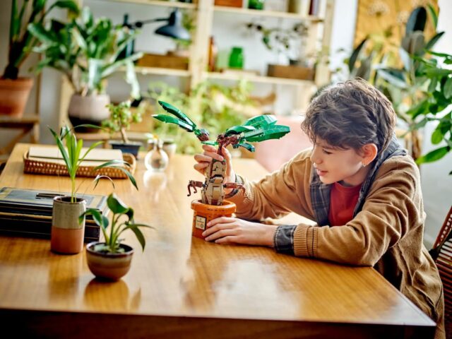 LEGO HARRY POTTER 76433 Mandrake - imagine 7