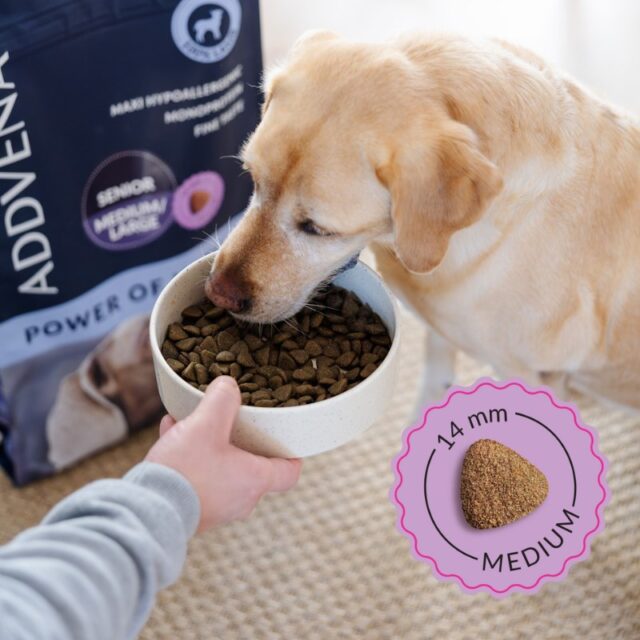 ADDVENA POWER OF NATURE dla starszych psów średnich i dużych ras 2 5kg - imagine 3