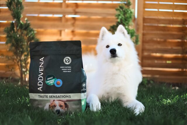 ADDVENA TASTE SENSATIONS dla dorosłych psów średnich i dużych ras 10kg - imagine 6