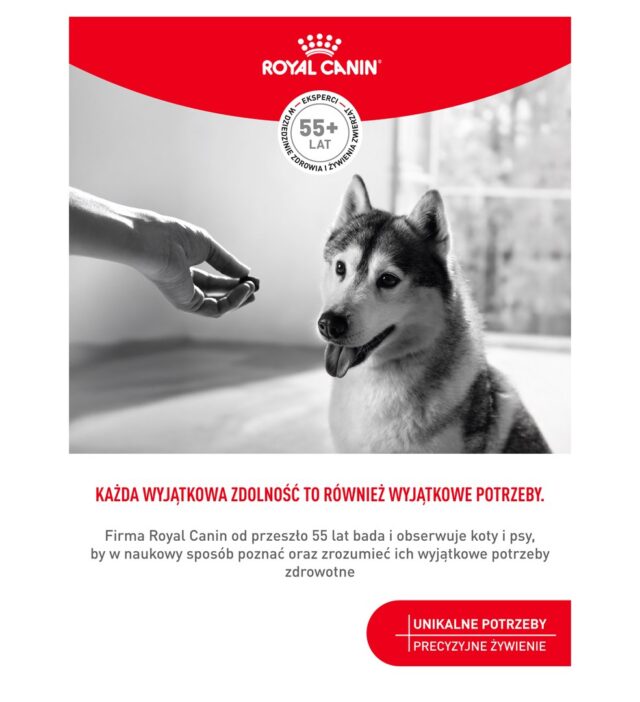 ROYAL CANIN Supplements Dog Joint & Ageing Adult - dog vitamins - 240g - imagine 9