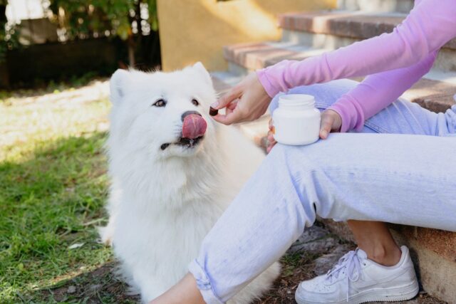 VIRBAC MOVOFLEX miękkie krokiety na stawy dla psa M - imagine 2