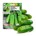 PNOS Nasiona na taśmie | Ogórek Gruntowy Reja F1 | Taśma 6m