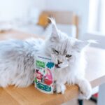 ANIMAL ISLAND wołowina/kurczak w rosole dla kota 80x85g - imagine 2