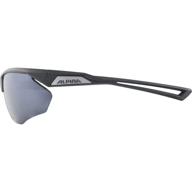 Alpina Nylos HR Sunglasses cat. 3 Grey - imagine 2