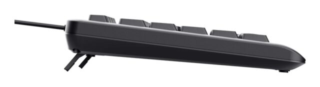 Trust Primo Beleuchtete keyboard Home/Office USB QWERTY US English Black - imagine 5