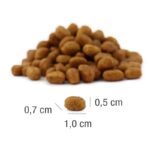 PLATINUM MeatCrisp Adult Fish - dry cat food - 400g - imagine 2
