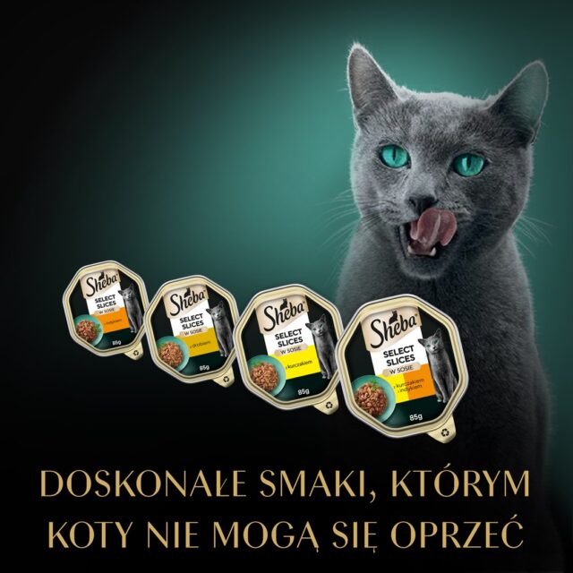 SHEBA tray sauce poultry/chicken/ turkey - wet cat food - 32x85 g - imagine 5