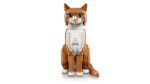 LEGO IDEAS 21376 Orange Cat - imagine 6