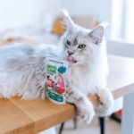 ANIMAL ISLAND wołowina w rosole karma dla kota monopak 40x85g - imagine 3