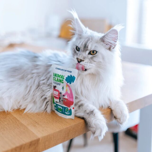 ANIMAL ISLAND wołowina w rosole karma dla kota monopak 40x85g - imagine 3