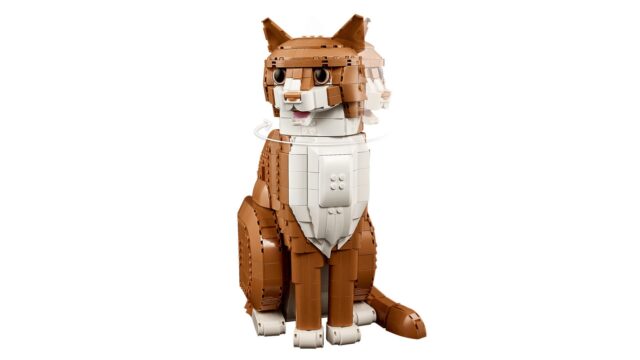 LEGO IDEAS 21376 Orange Cat - imagine 7