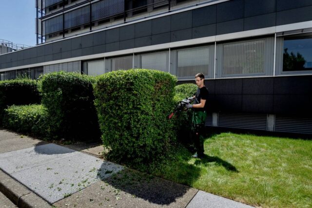 Metabo Hedge Trimmer HS 18 LTX BL 55 - imagine 9