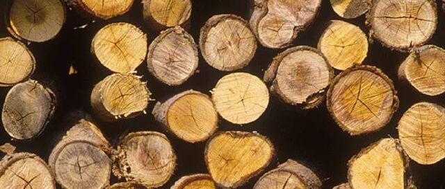 Einhell GE-LC 18/25-1 Li Kit Black  Red - imagine 2