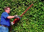 Einhell hedge trimmer GE-EH 7067 - imagine 2