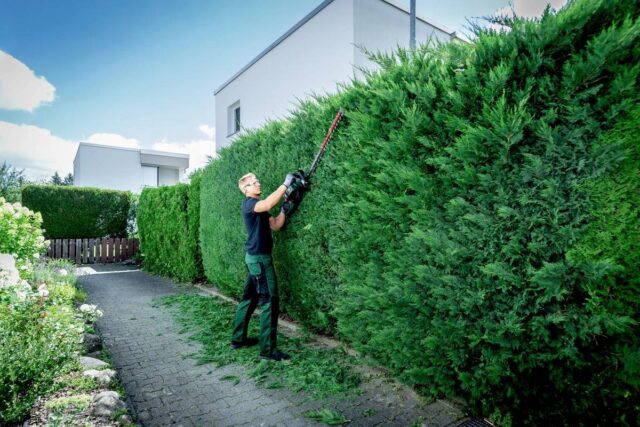 Metabo Hedge Trimmer HS 18 LTX BL 55 - imagine 2