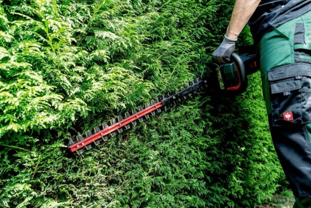 Metabo Hedge Trimmer HS 18 LTX BL 55 - imagine 7